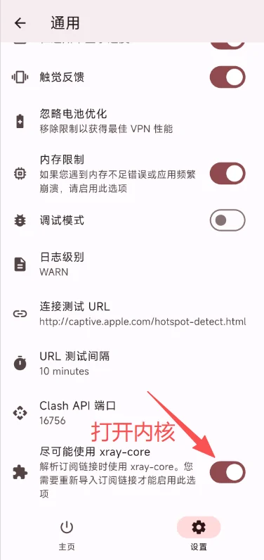 进入通用,打开尽可能使用 xray-core