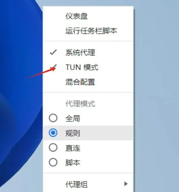 Windows Clash：同时勾选系统代理和 TUN 模式。